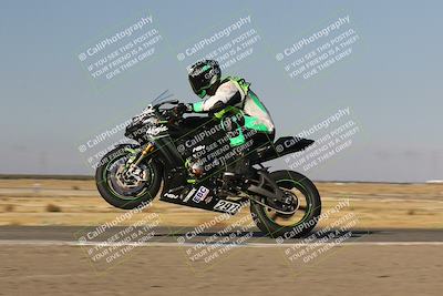 media/Nov-06-2023-Lets Ride (Mon) [[98fce14742]]/A Group/2pm (Wheelie Bump)/